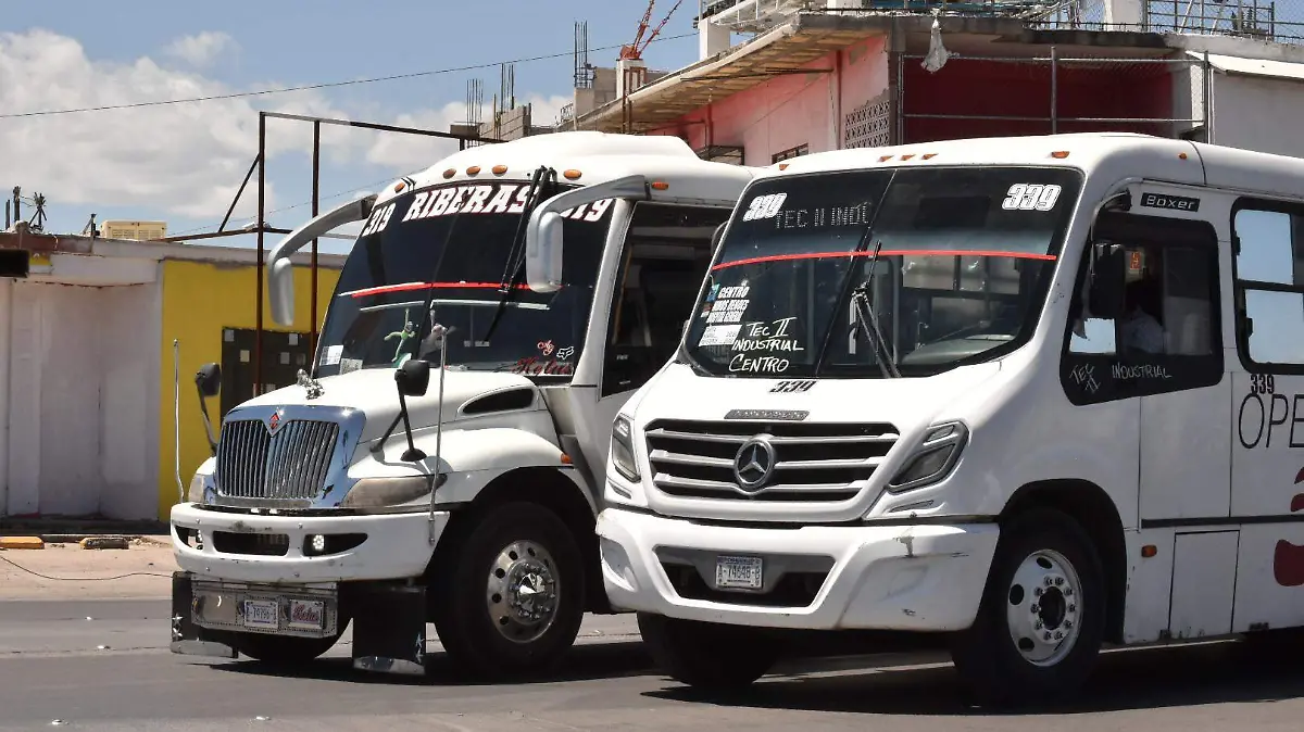 TRANSPORTE URBANO  (2)